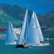 This is an image of sailboats sailing in the bay.